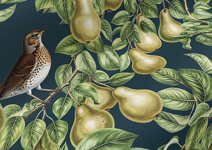 Pears, Silent Night - Twist&Fit Roller Blind - Image 4